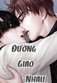 Đường Giao Nhau-thumb Smanga